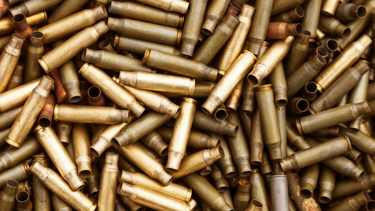 Shotgun Brass Casings